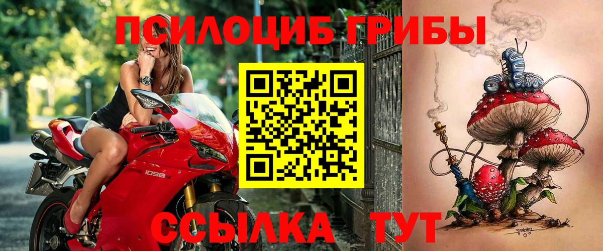 Улан-Удэ  Галлюциногенные грибы мицелий  Вход с VPN  Псилоцибиновые грибы GOLDEN TEACHER 